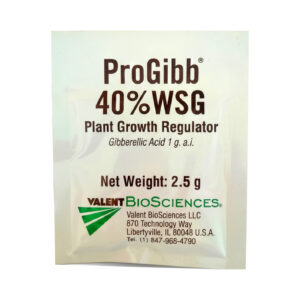 progibb 40%wsg